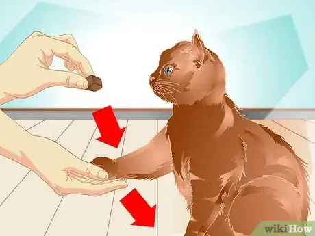 Image intitulée Teach a Cat to "High Five" Step 25